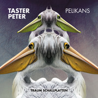 Taster Peter - Pelikans