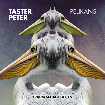 Taster Peter - Pelikans