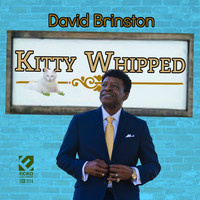 David Brinston - Kitty Whipped