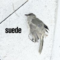 Suede - The Invisibles