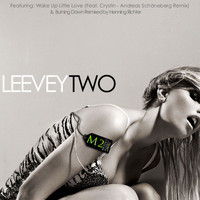 Leevey - Two