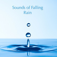 Rain Sounds, Nature Sounds & Rain for Deep Sleep - Sounds of Falling Rain