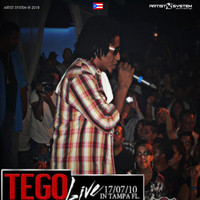 Tego Calderon - Tego Calderon  Live In Tampa FL