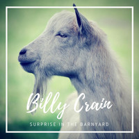 Billy Crain - Surprise in the Barnyard