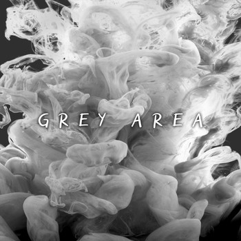 The Raiders - Grey Area