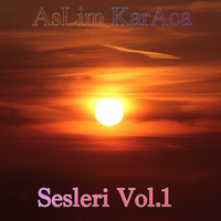 Aslim Karaca - Sesleri, Vol. 1