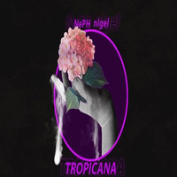 Neph - Tropicana (Explicit)