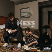 Vibes - Mess (Explicit)