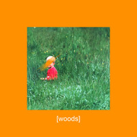 B77 - Woods