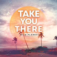 Wild Planes - Take You There