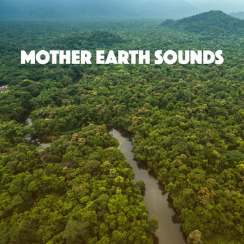 Relaxing Rain Sounds, Deep Sleep Rain Sounds and Soothing Sounds - Mother Earth Sounds