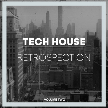 Various Artists - Tech House Retrospection, Vol. 2