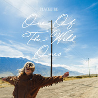 Blackbird - One Of The Wild Ones