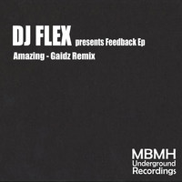 DJ Flex - Amazing