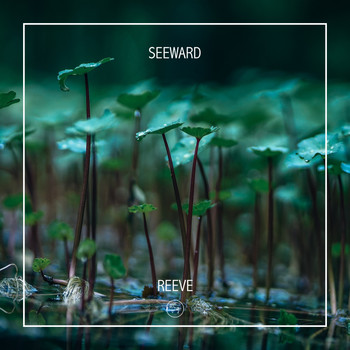 Seeward - Reeve