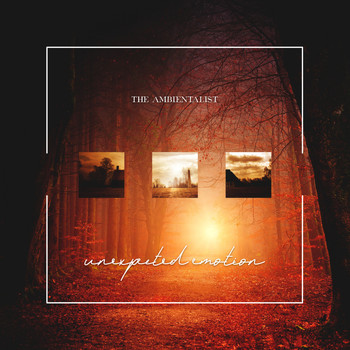 The Ambientalist - Unexpected Emotion