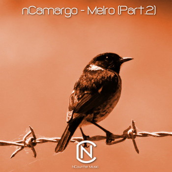 nCamargo - Melro, Pt. 2