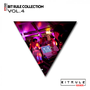 Various Artists - Bit Rule Collection, Vol. 4