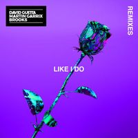 David Guetta, Martin Garrix and Brooks - Like I Do (Remixes; Soonvibes Contest)