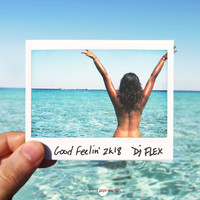 DJ Flex - Good Feelin' 2K18 (Gaidz Radio Edit)