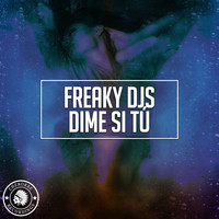 Freaky DJs - Dime Si Tu
