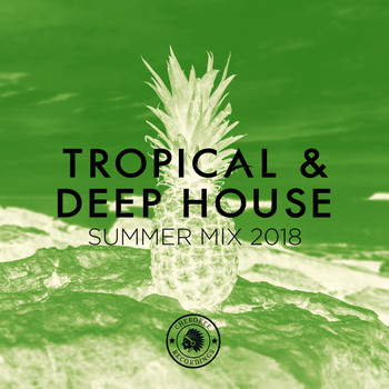 Various Artists - Tropical & Deep House: Summer Mix 2018