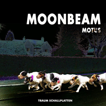 Moonbeam - Motus
