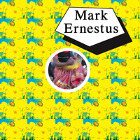 Mark Ernestus - Shangaan Shake: Mark Ernestus Meets BBC