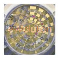 Keisho Kikuchi - E-Volution