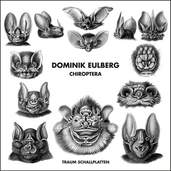 Dominik Eulberg - Chiroptera