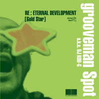 grooveman Spot a.k.a DJ KOU-G - Re: Eternal Development Gold