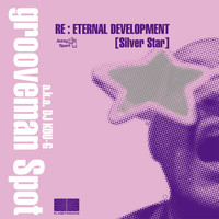 grooveman Spot a.k.a DJ KOU-G - Re: Eternal Development Silver