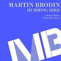 Martin Brodin - Humming Bird