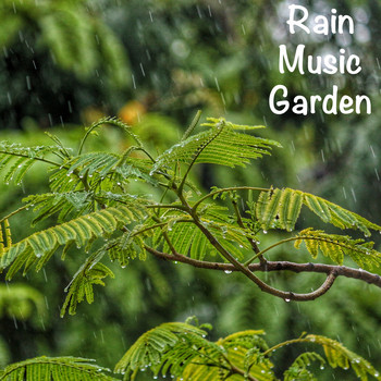 Meditation Zen Master, Rain Sounds Nature Collection, Rain Sounds Sleep - 18 White Noise Nature Sounds - Rain Music Garden