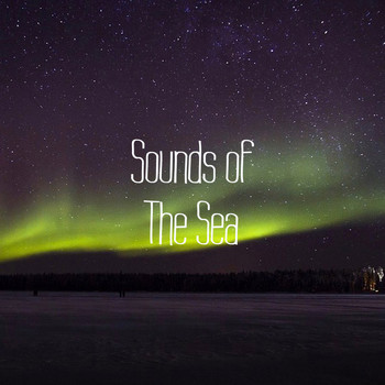 Zen Music Garden, White Noise Research, Nature Sounds - 11 Sounds of the Sea and Rainfall Tracks