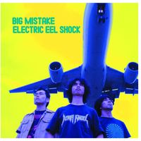 Electric Eel Shock - Big Mistake