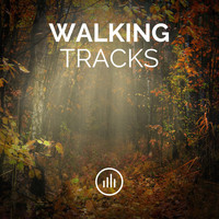 myNoise - Walking Tracks