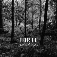 Forte - Goosebumps