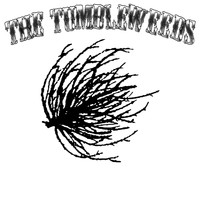 The Tumbleweeds - Long Gone