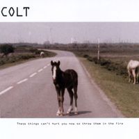 Colt - These Things Can't Hurt You Now So Throw Them In The Fire