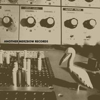 Merzbow - Another Merzbow Records