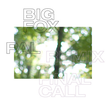 Big Fox - Final Call (PAL Remix)