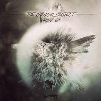 The Caracal Project - Fallin'