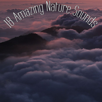 Sounds of Nature White Noise for Mindfulness Meditation and Relaxation, Entspannungsmusik Meer, entspannungsmusik - 15 Zen Focus Nature Sounds & White Noise Rain