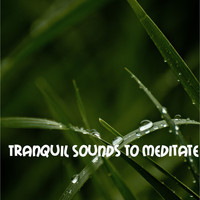 Sleep Sounds of Nature, Spa & Spa, Asian Zen Spa Music Meditation - 18 Amazing Yoga, Sleep, Meditation Rain Sounds