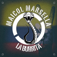 Maicol Marsella - La Burrita