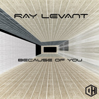 Ray Levant - Because of You