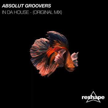 Absolut Groovers - In Da House