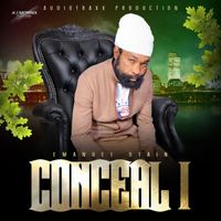 Emanuel Stain - Conceal I