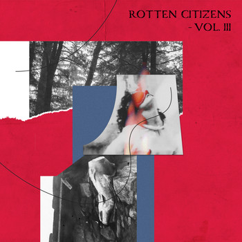 Various - Rotten Citizens Vol.3